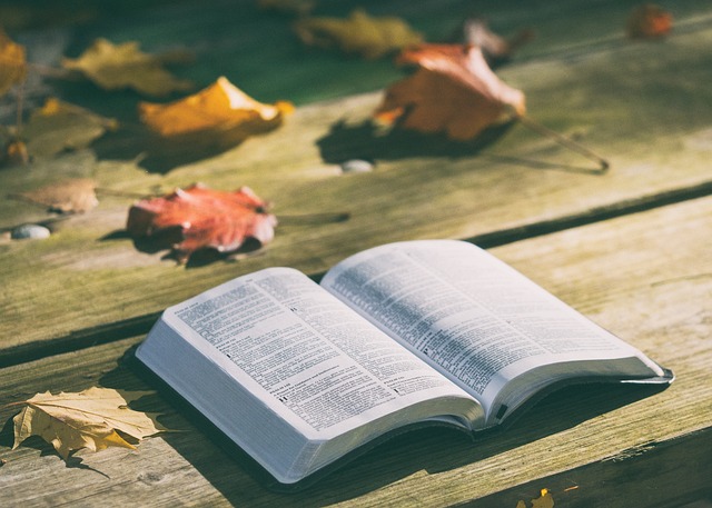 um livro aberto em cima da mesa com folhas de arvores ao lado