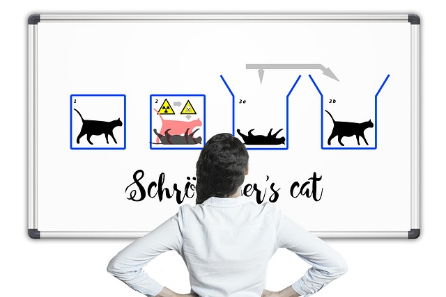 O Gato de Schrödinger: Como a Física Quântica Pode Iluminar Seu Autoconhecimento