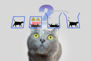 O Gato de Schrodinger: Como a Física Quântica Pode Iluminar Seu Autoconhecimento