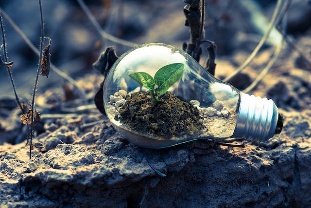 Frases de Crescimento Pessoal: As 30 Melhores Pra Inspirar