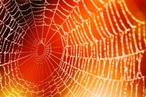 Frases Homem Aranha Sem Volta para Casa. Veja as 30 Inspiradoras