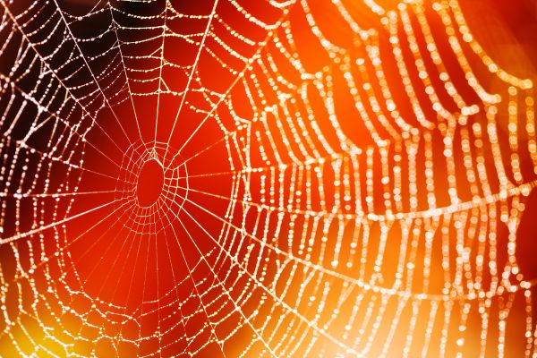 Frases Homem Aranha Sem Volta para Casa. Veja as 30 Inspiradoras