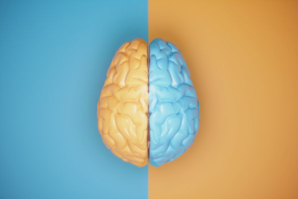 consciência psicanalise cérebro dividido pela metade azul e amarelo