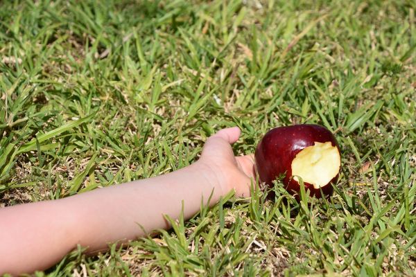 branca de neve e rainha má Branca De Neve: O Que Ela Tem a Nos Ensinar?