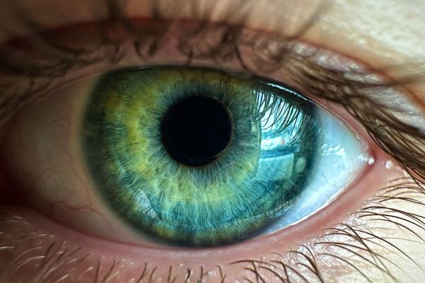 seduzir com os olhos Como Seduzir com o Olhar: O Guia Científico da Sedução Visual