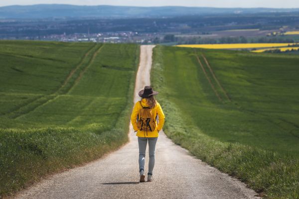 Joseph Campbell e a Jornada do Herói: Transforme Sua Vida em uma Aventura de Propósito