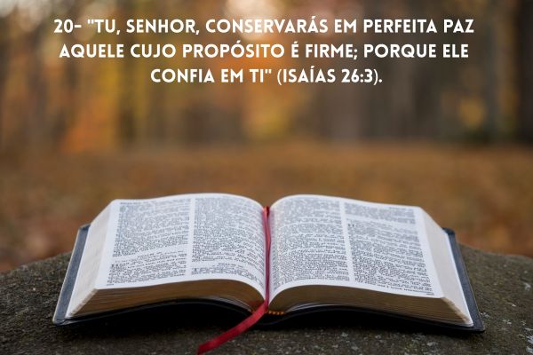 bíblia aberta