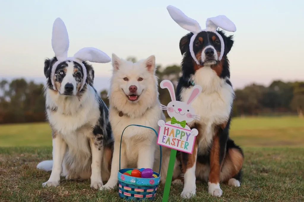 Três cachorros usando orelhas de coelho ao lado de cesta com ovos coloridos e placa Happy Easter.