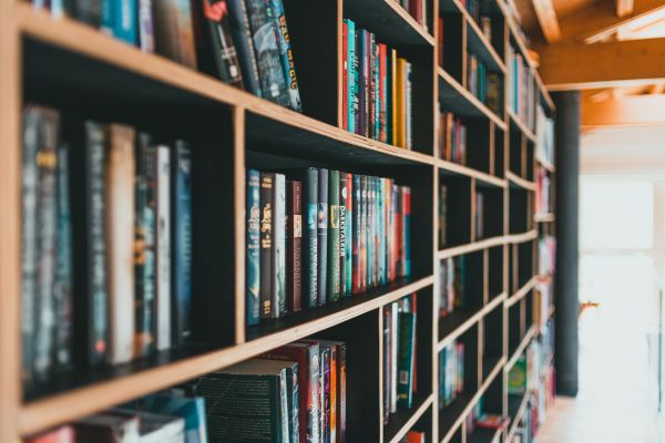 estante cheio de livros