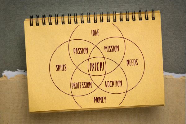 ikigai na pratica caderno em amarelo com os circulos do ikigai