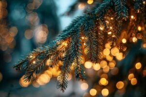 40 Frases para Caixinha de Natal: Encante com Mensagens Cheias de Carinho